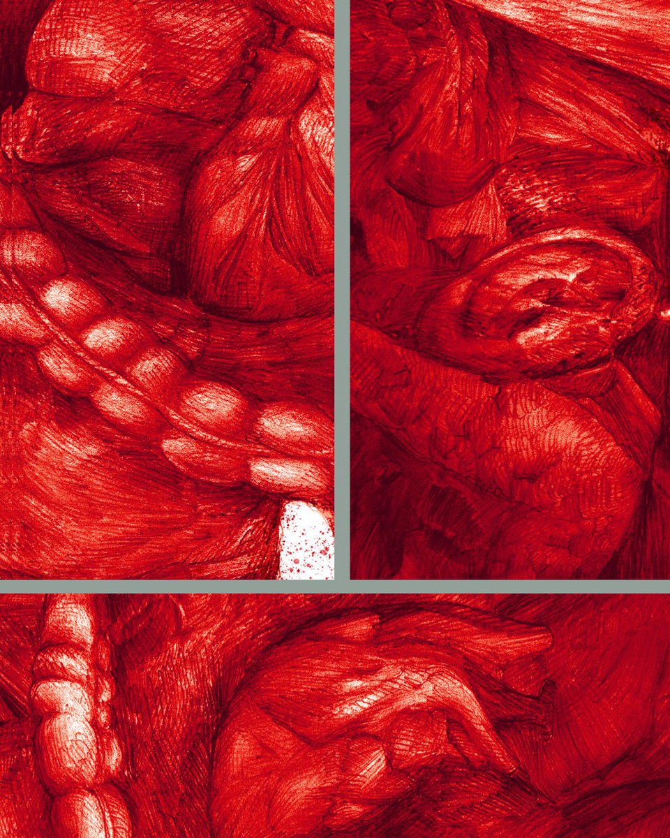 B4Abraham tweet media