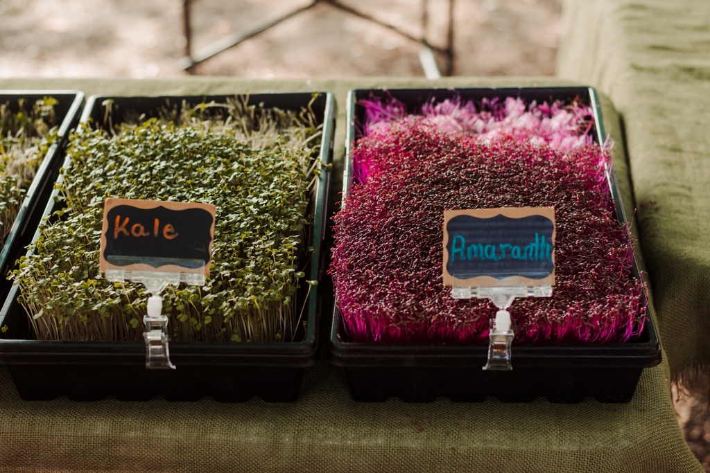 Tomorrow is FFM's last market of the season! Bring those holiday shopping lists and we'll see you under the Spanish moss one more time before 2023 ✌️