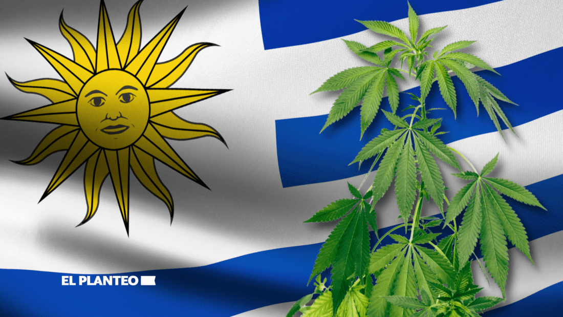 🟩 PORRO CHARRÚA 🇺🇾

Uruguay: Lanzarán una variedad de marihuana con más THC. La noticia fue difundida durante la Expo Cannabis en ese país. 

bit.ly/3urxeNC ⬅

☑ Vía <a href="/eldiarioar/">elDiarioAR</a>