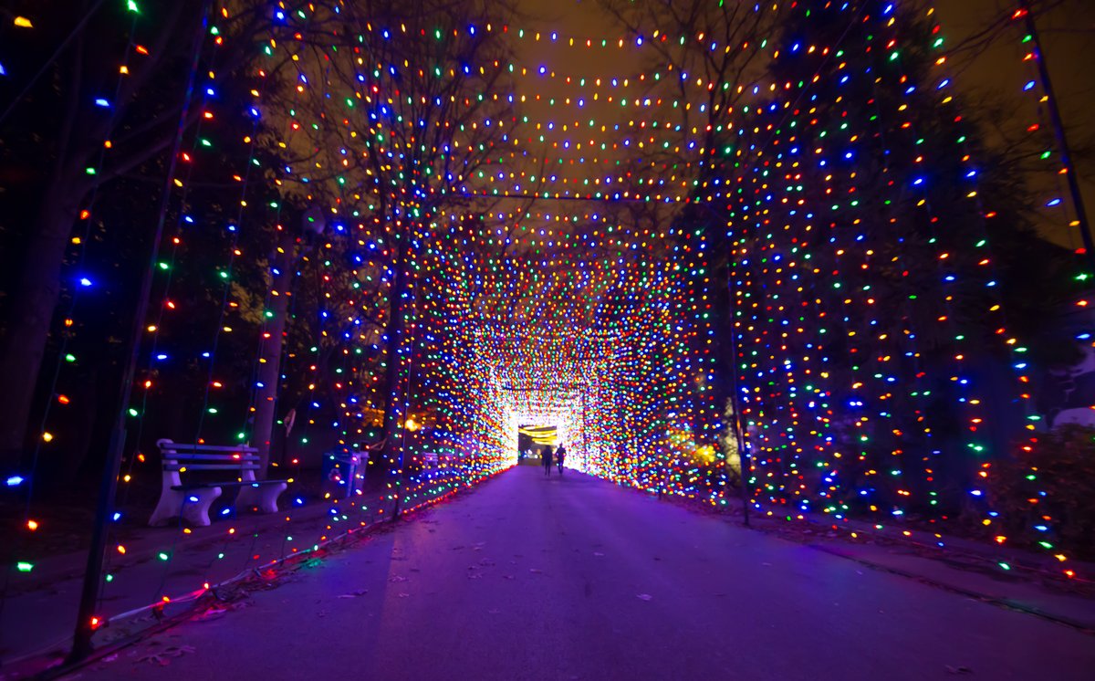 ilovememphis's tweet photo. 38 things to do in Memphis this weekend! -->> https://t.co/3DkPs6gSEB https://t.co/3q1Tt8AN7W