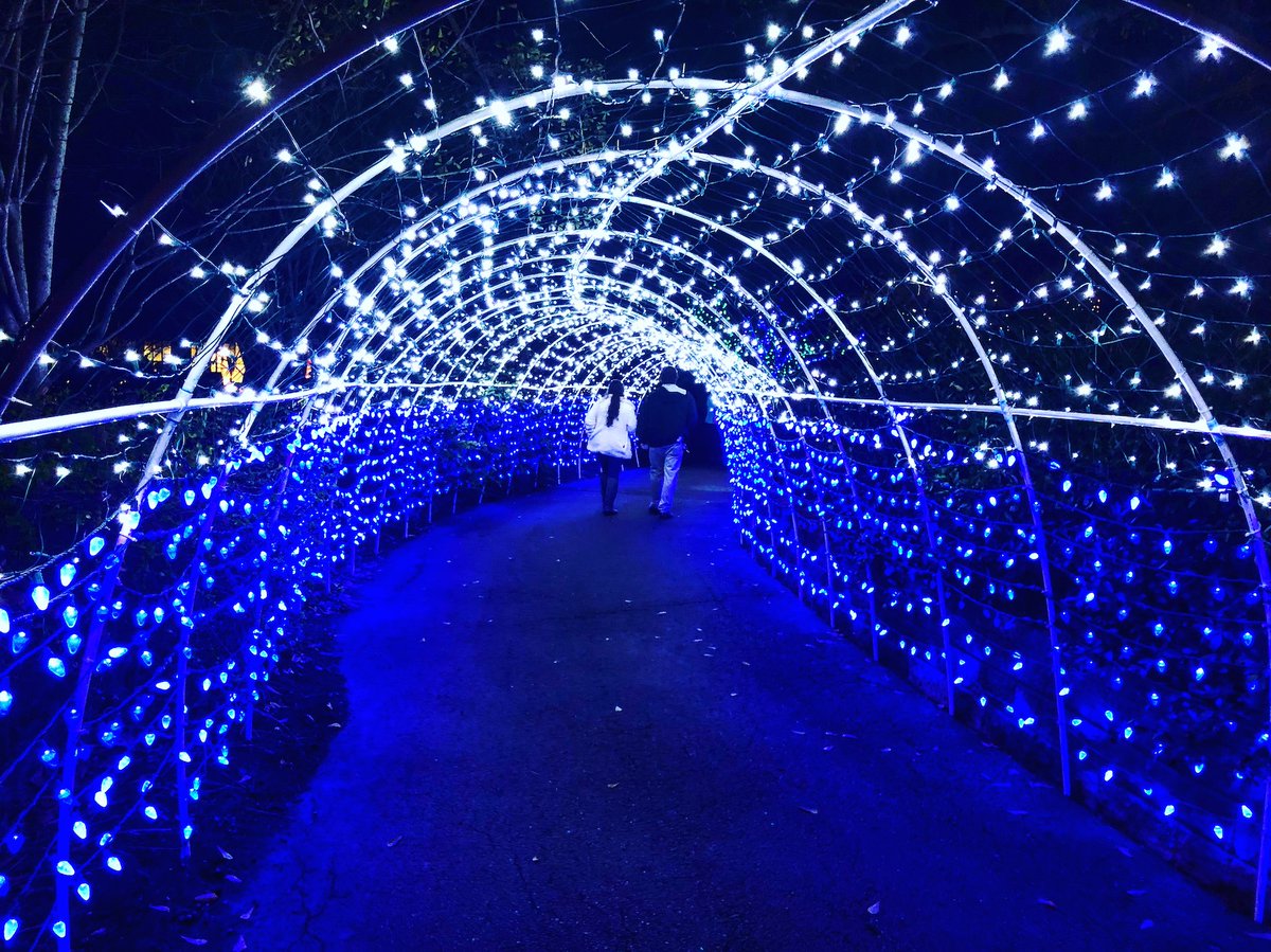 ilovememphis's tweet photo. 38 things to do in Memphis this weekend! -->> https://t.co/3DkPs6gSEB https://t.co/3q1Tt8AN7W