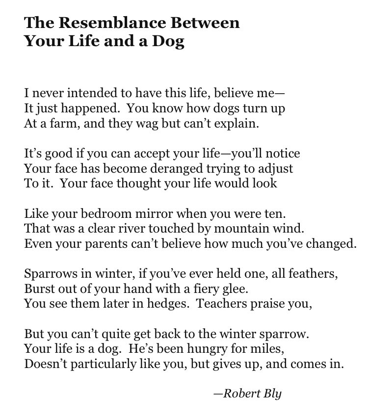 Today's poetry thread:  ACCEPTANCE

"Even your parents can't believe how much you've changed." 🕳 Feel free to add poems.