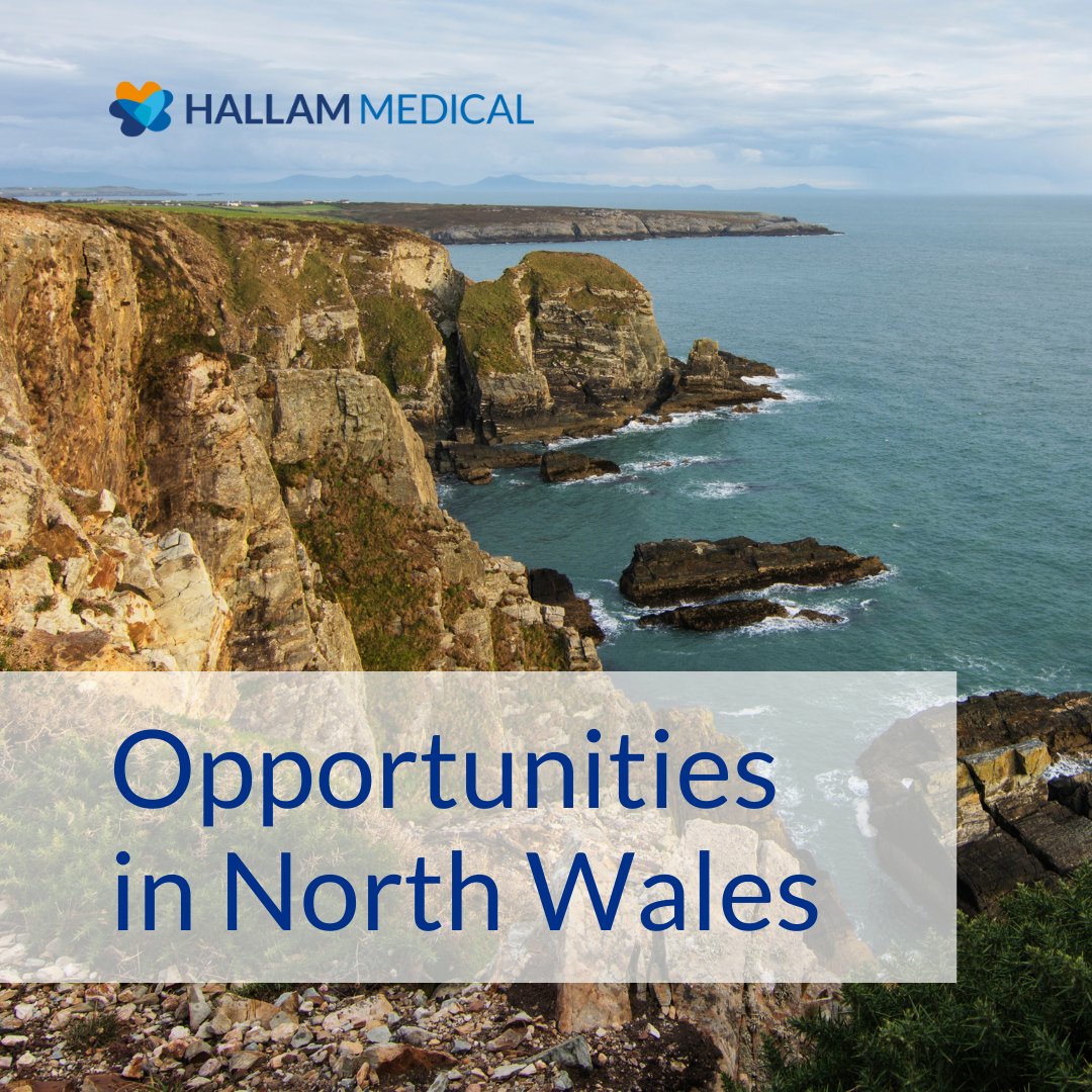 Hallam_Medical's tweet photo. Opportunities in #NorthWales for ANPs, ACPs and ENPs. Minor Injury Units, A&E, Out of Hours Services and GP Surgeries. If you have availability, please call Spencer today on 0333 800 0395 #northwales #advancedpractice #locumwork #opportunities #jobs #ACP https://t.co/uiRNJ3qFQS