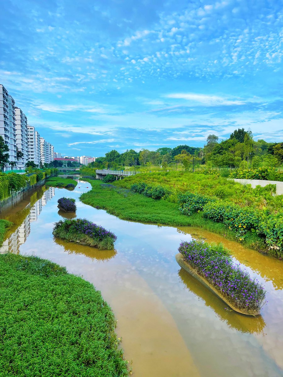 YamKeng's tweet photo. First #runwithBYK at ABC Waterway @ Sungei Tampines. Thanks for joining!
#running #keepingfittogether #sungeitampines #abcwaters https://t.co/qgFQGdD2u7