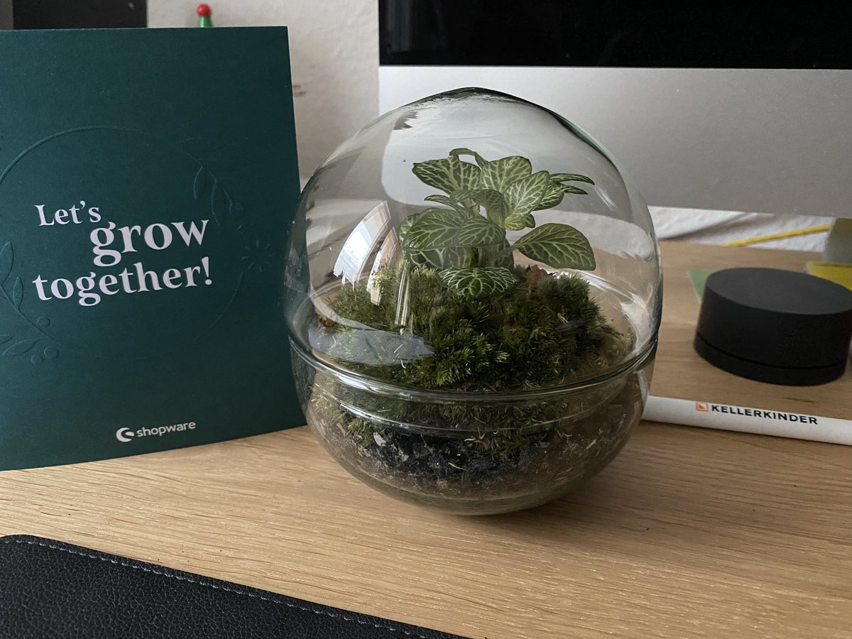 Thanks <a href="/shopware/">Shopware</a> for the nice little garden 😍 I hope you all enjoy your Christmas season 🎄