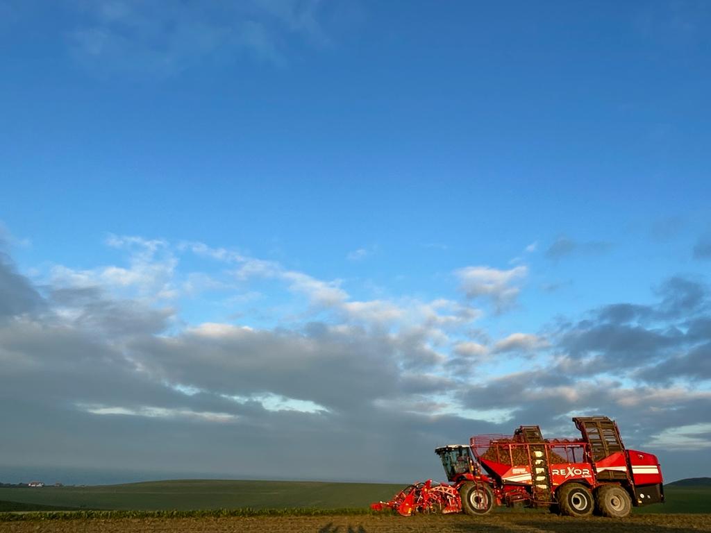 GRIMMEGroup's tweet photo. #GRIMMEworldwide 
Impressions of the 2022 beet campaign from France 🇫🇷
#GRIMME #GRIMMEGroup #REXOR #sugarbeet  #beetharvest #beet #harvester #beetharvester #agriculture #france #Frankreich https://t.co/kjwE83M7KH