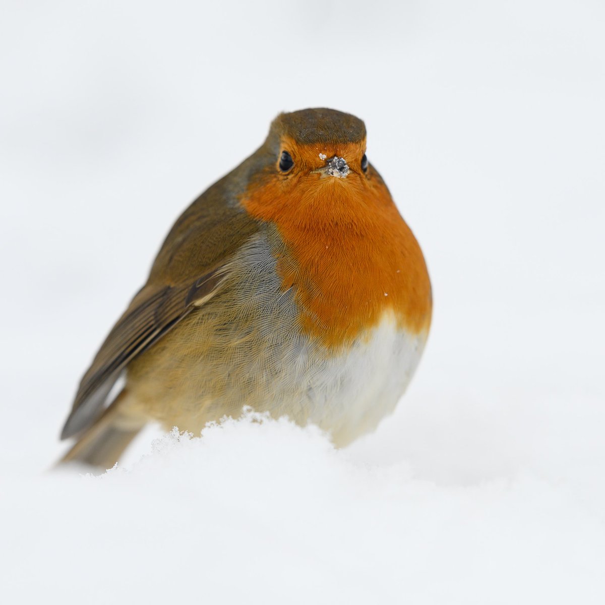 KevinBownes tweet picture