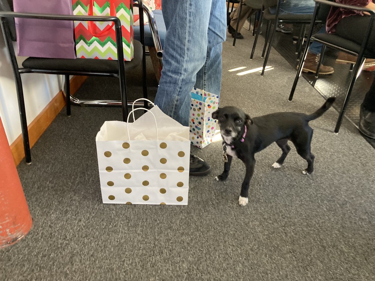 RLMG (Richard Lewis Media Group) tweet media