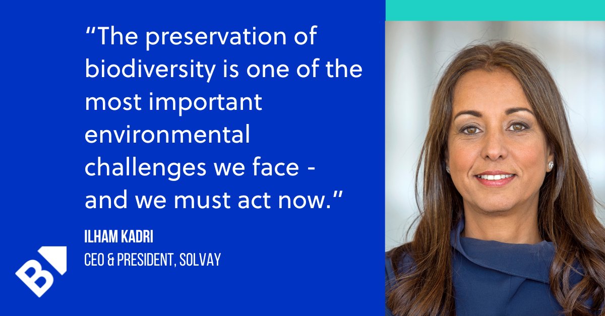 The B Team tweet media