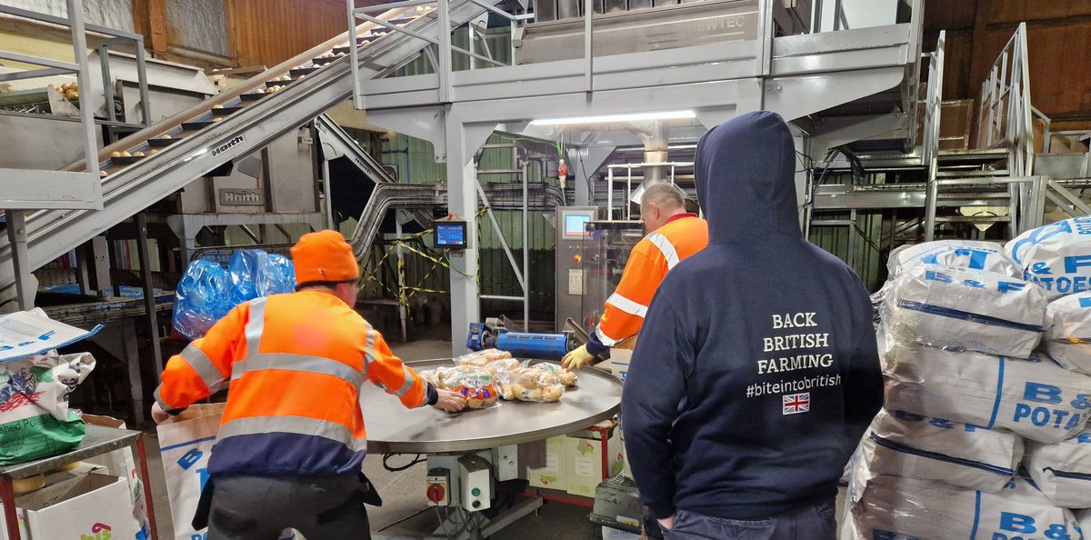 Day 16: potatoes are such a versatile vegetable that we grow a huge tonnage of here in the UK - whether it be for roasties, mash, chips or crisps, British potatoes are the best 👍🇬🇧🥔

>100 ❤️ and £10 goes to farming charities 👍 RT away...

#BiteIntoBritish #BackBritishFarming