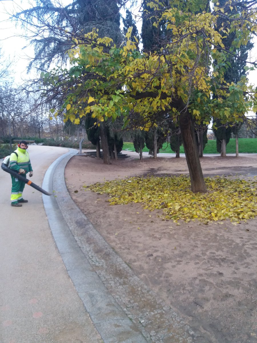 ¿Pero por qué hay que recoger las hojas de los parques? ¿POR QUÉ? #biodiversidad #microfauna