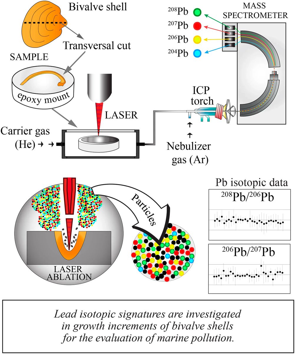 SocAppSpec's tweet photo. A Practical Procedure for Analysis of Lead Isotopes in Bivalve Shells Using Laser Ablation Multicollector Inductively Coupled Plasma Mass Spectrometry (LA-MC-ICP-MS) 

Read more here: https://t.co/jEs4FoosiJ
@AppliedSpec https://t.co/HjMuOUeGg6