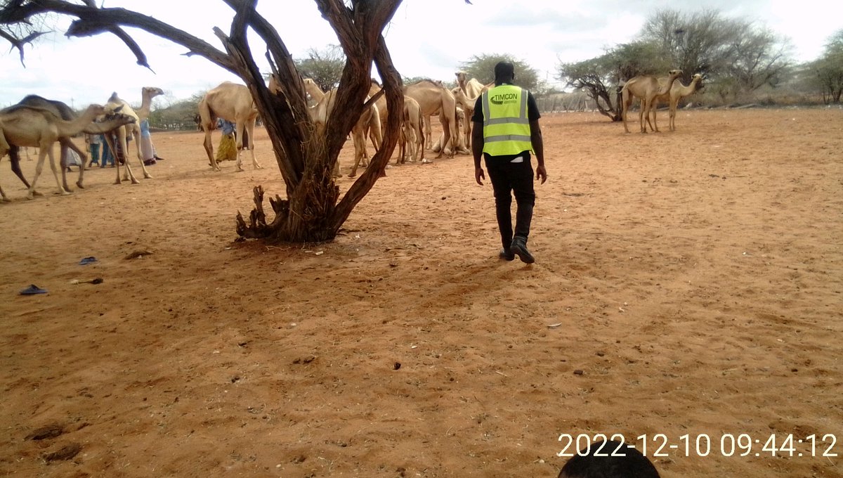timconeng's tweet image. The exercise covered roads in Nairobi, North and Lower Eastern, Central, and Coast regions.
#TIMCON 
#SustainableEngineering
#SustainableTransport
#KENHA