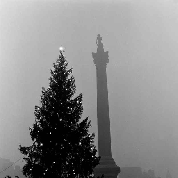 Christmas tree standing in front of Nelson's Column, Trafalgar Square in 1955 #chritmas #Xmas #London #History