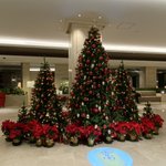 ツイートに含まれる画像