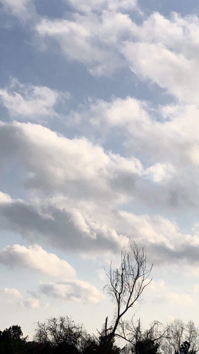 Dana Blake Scopa tweet media