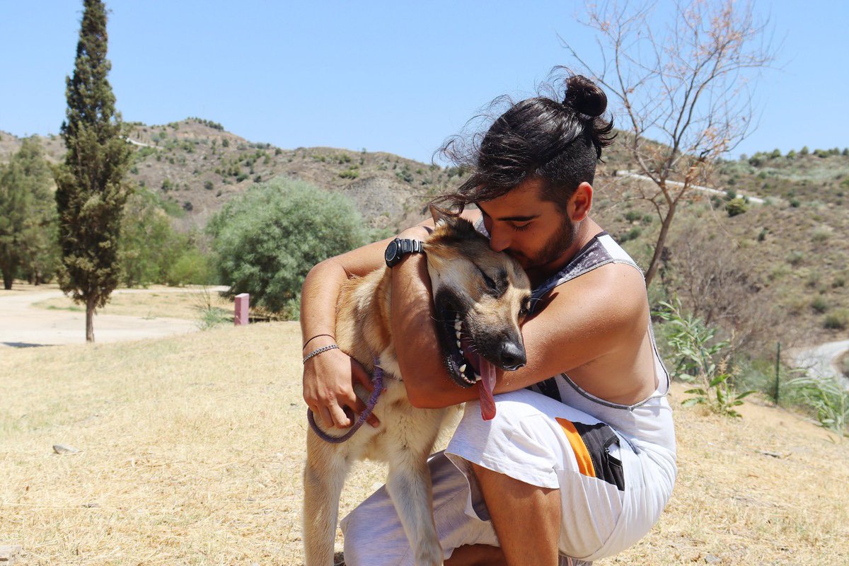 protemalaga's tweet photo. Zando, 2 años, tamaño grande.
Es un perro muy enérgico que adora los largos paseos y jugar.  Necesita una familia que le dé todo el ejercicio mental y físico que él necesita. Sería el compañero perfecto de aventuras.
Correo: moduloc@protectoramalaga.com https://t.co/6VjEuwrRPx
