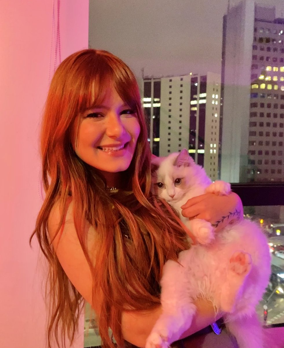 irrelevancherry ☾ tweet media