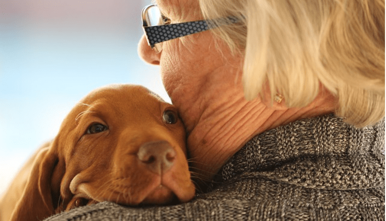 EsGenerales's tweet photo. Perros y Alzheimer

Dicen que el perro es el mejor amigo del hombre, probablemente es así. El perro es la mascota preferida por los españoles......

#pacientesconAlzheimer

https://t.co/J2MfW36yxS https://t.co/raCBfEBuZ9