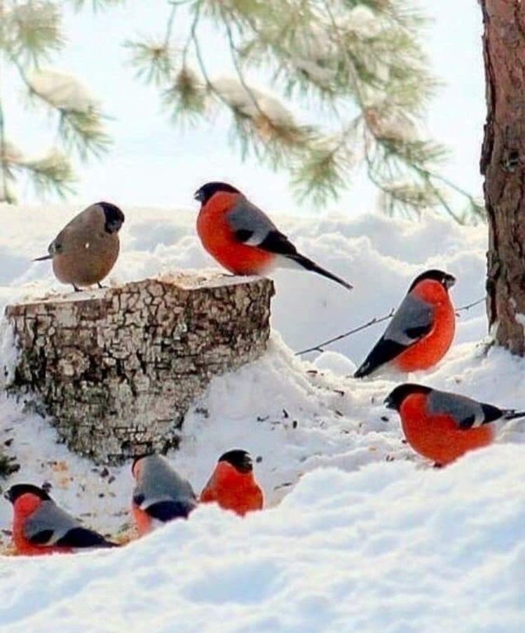 ApolloVentuno's tweet photo. Colori 🤍❄️ https://t.co/0cquCCMWqM