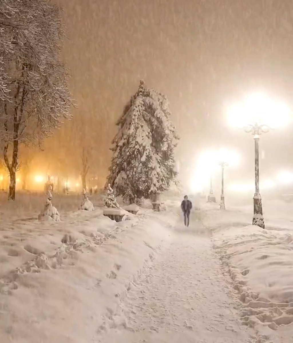 Miep51082958's tweet photo. #Stilness
Dat moment, alleen het knisperen van de sneeuw onder je voeten.
Geen geluiden verder dan je eigen adem, je eigen hartslag.
Dat moment, zo perfect, zo mooi, zo magisch...❤️ https://t.co/t9ZMYIRSRJ