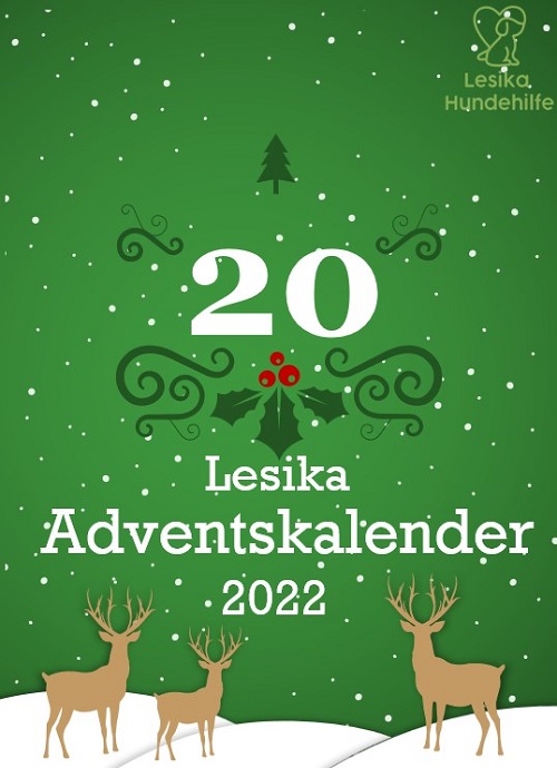 lesika_e's tweet photo. Welcher süße Welpe steckt hinter Türchen Nummer 20?

Auflösung um 10:00 Uhr ❤️🎄❤️🎄

https://t.co/HBwm9rP5lZ #LesikaHundehilfe #Tierrettung #christmas #Adventskalender #DogsofTwittter #dog #calender #puppy #welpen #AdoptDontShop #goodfeeling #spende #Donations https://t.co/TcDhBZYfVL