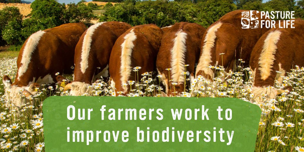 Pasture For Life tweet media