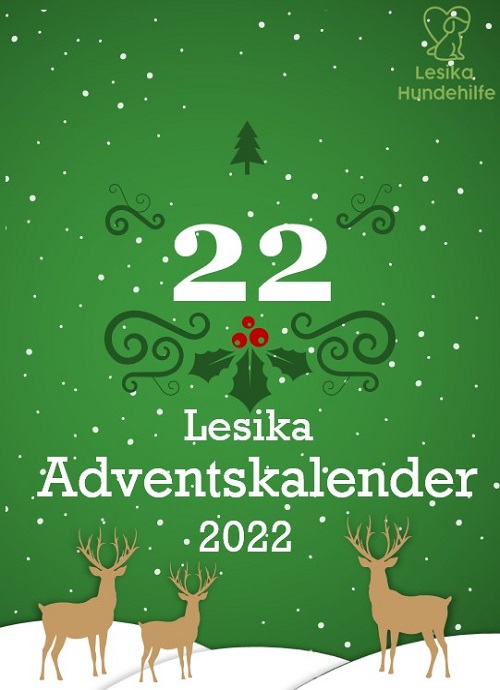 lesika_e's tweet photo. Welcher süße Welpe steckt hinter Türchen Nummer 22? 

Auflösung um 10:00 Uhr❤️🎄❤️🎄

https://t.co/HBwm9s6GKz 

#LesikaHundehilfe #Tierrettung #christmas #Adventskalender #DogsofTwittter #dog #calender #puppy #welpen #AdoptDontShop #goodfeeling #spende #Donations https://t.co/FhTFZAMgDb