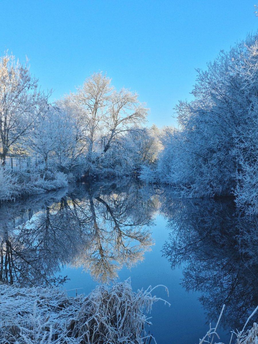 Scariff River walk and park really is spectacular this morning.

#irelandshiddenheartlands