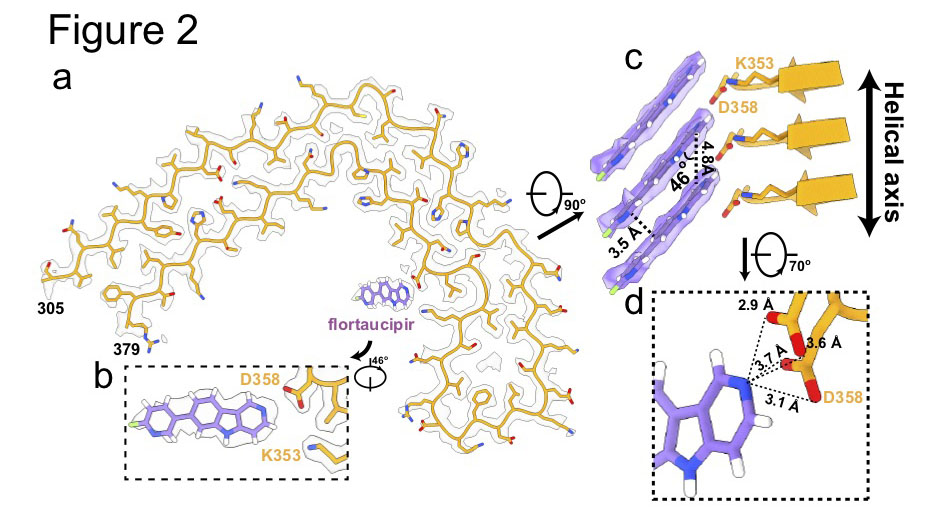 Yang Shi tweet media