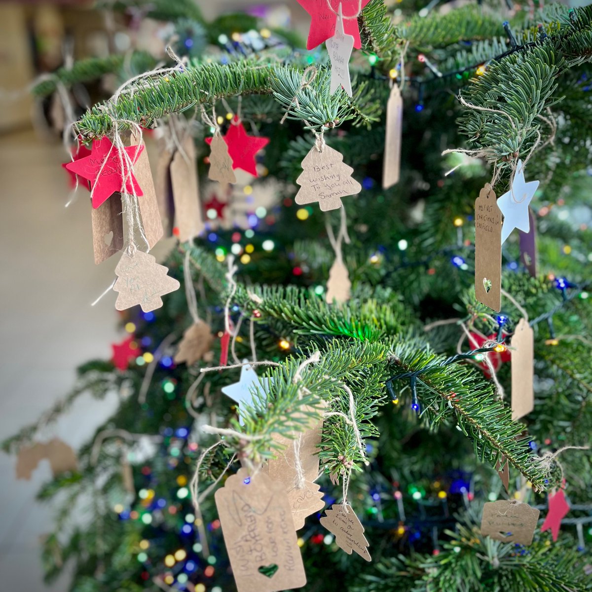 🏫❄️🎄 The University will close at 4pm on Friday 23 December, reopening on Tuesday 3 January. Details of facilities, services and access to emergency support can be found on our festive break page 👉 bit.ly/3VNzMRG