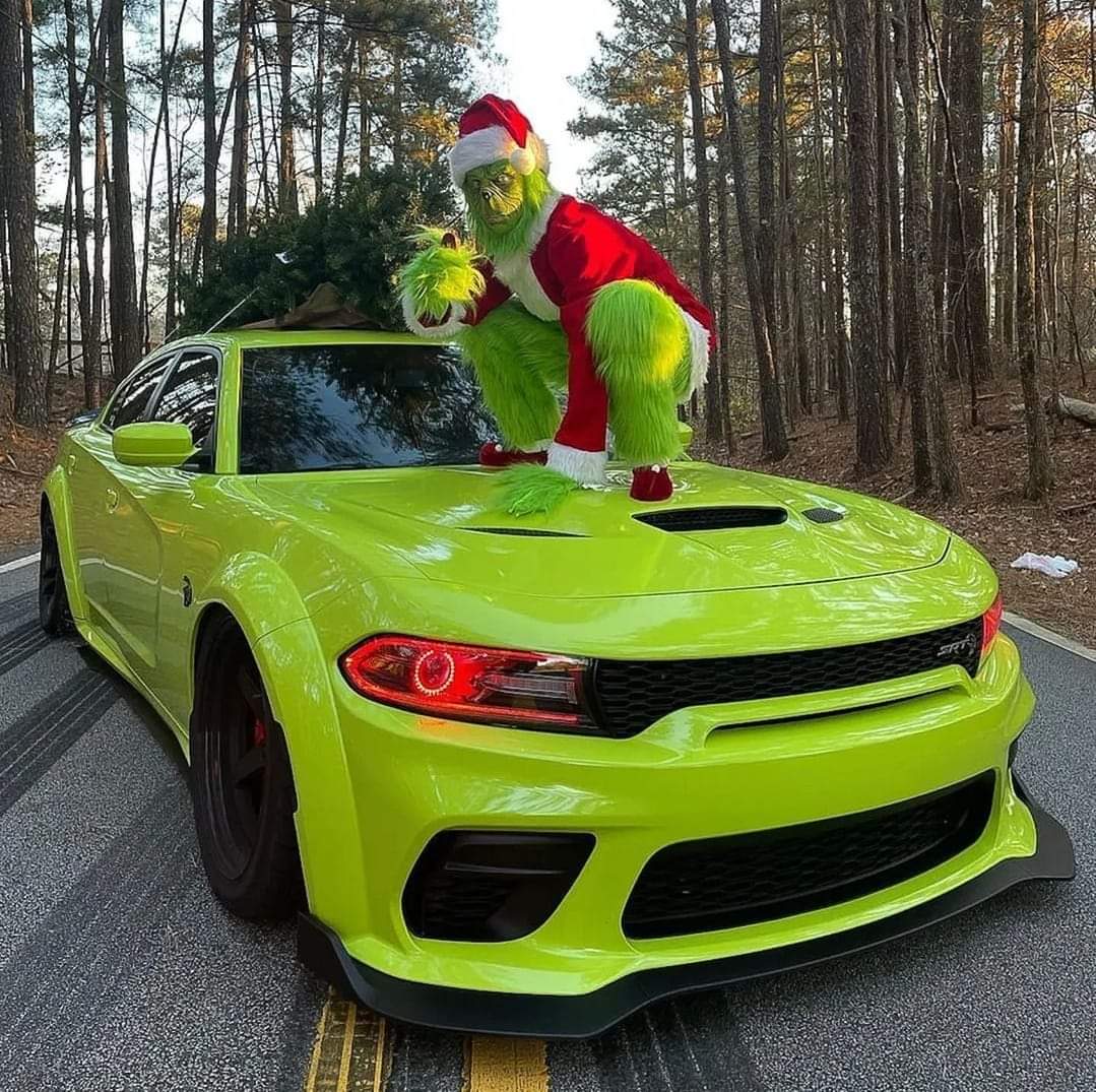 MikeyPotito's tweet photo. https://t.co/gvKAI7I98y