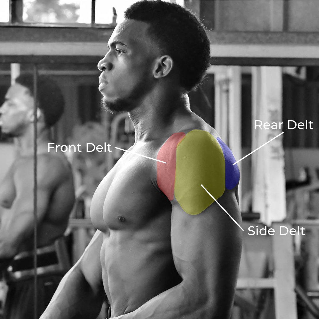 TheWarEnglish's tweet photo. Research shows if you have broad shoulders as a man, you're more likely to make a woman orgasm.

But most men have no idea how to train their shoulders effectively. 

Here are my top 6 exercises to help you build broad boulder shoulders: https://t.co/daqselu2nl