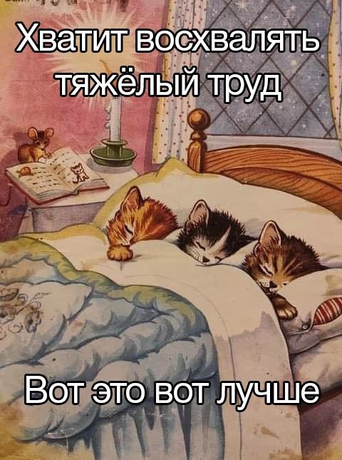 great_knee's tweet photo. https://t.co/LLBJR9rH9f