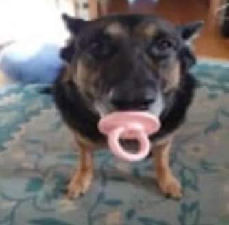 Fırat Mahir Kovan tweet media