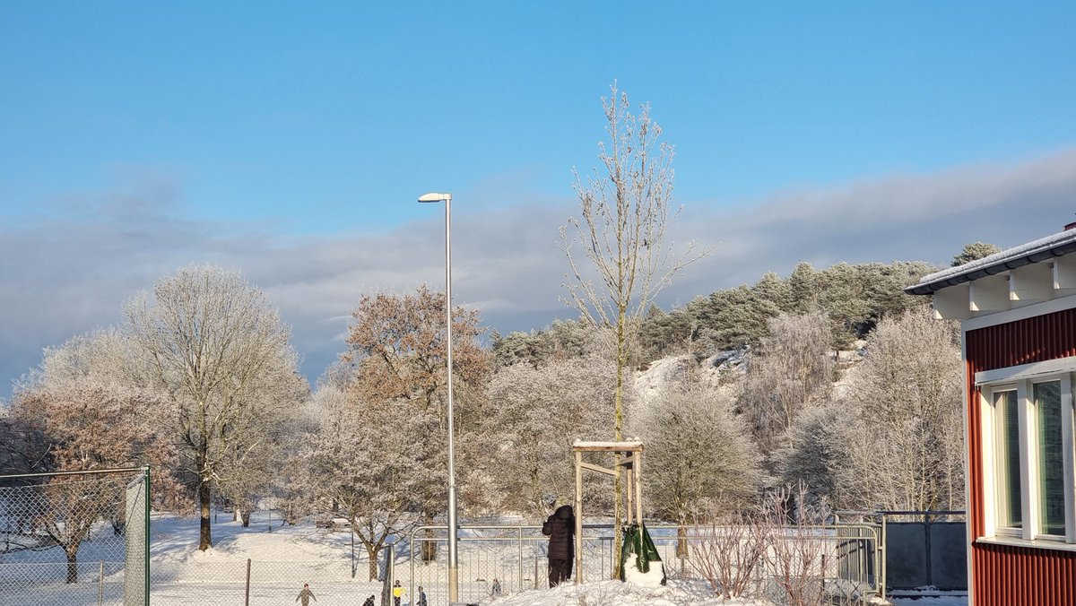 #långmosseskolan 
Alltså vår skola ligger ju helt fantastiskt ❤️
<a href="/JerlhaAnna/">Anna-KristinaJerlhag</a>