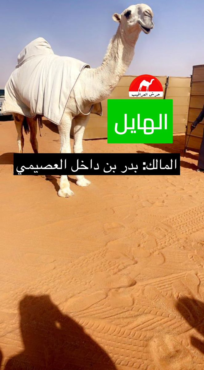 HamedAlMuhayani's tweet photo. 🔥🔥🔥🔥 https://t.co/4cWySDwQcA