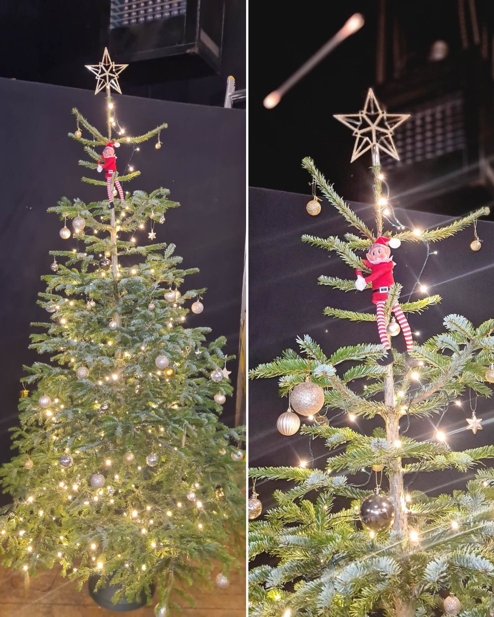 beggarstheatre's tweet photo. Someone seems happy to have made it to the top of our Christmas Tree! 😂🎄 #elfonashelf #naughtyelves #beggarselves #icicle #MissingElf https://t.co/TlsclpKZRt