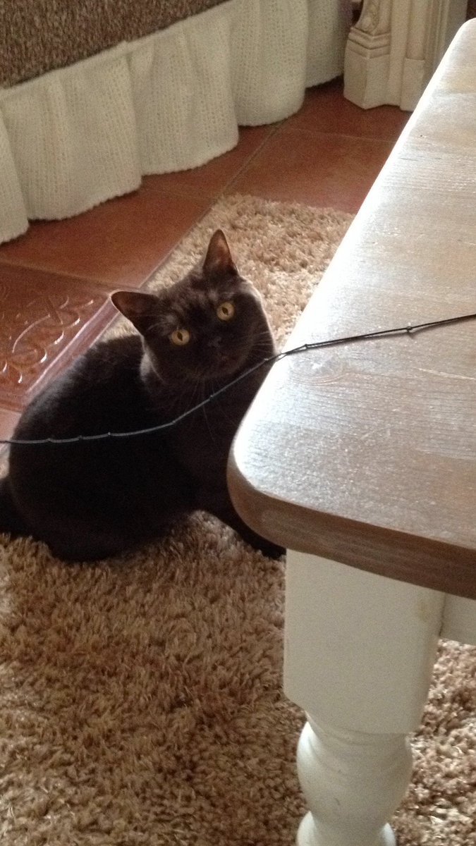 Jackieketarn🇳🇱🙏❤️ tweet media