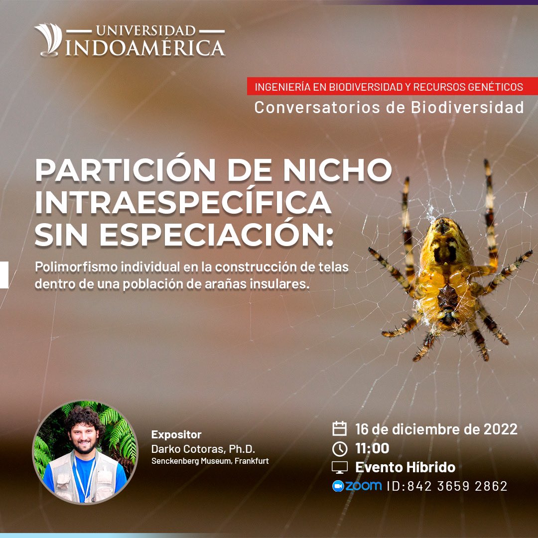 Patricia Salerno tweet media