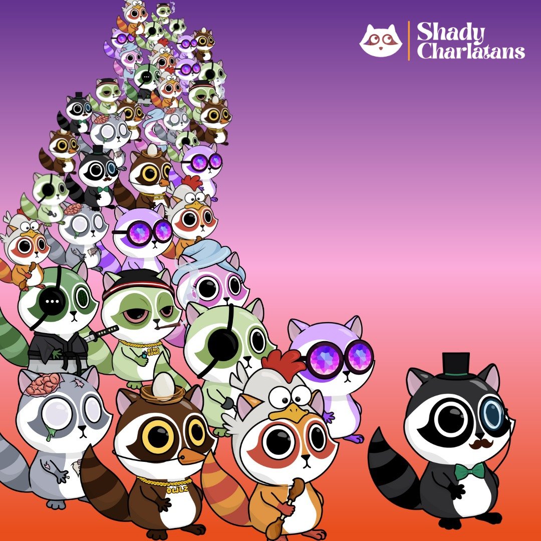 Shadys 🦝 tweet media