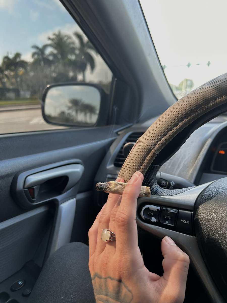 Trippyk6's tweet photo. 🚮 https://t.co/Bpzq1cCd7X