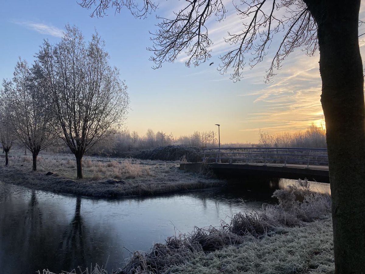 Ingrid Koenen tweet media