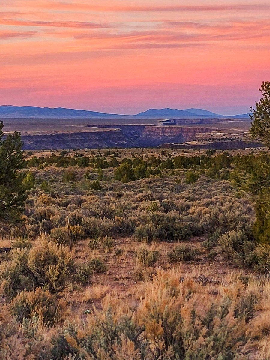 wander4insp's tweet photo. Our last view of the Taos area… at least for a while.
About 10 miles out of Taos on New Mexico State Road 68, our journey through the Taos area ends much like it began, with a sunset vista of the awe inspiring Rio Grande Gorge.
#TaosNewMexico #Sunset #RioGrandeGorge https://t.co/JefqvTJ3mD