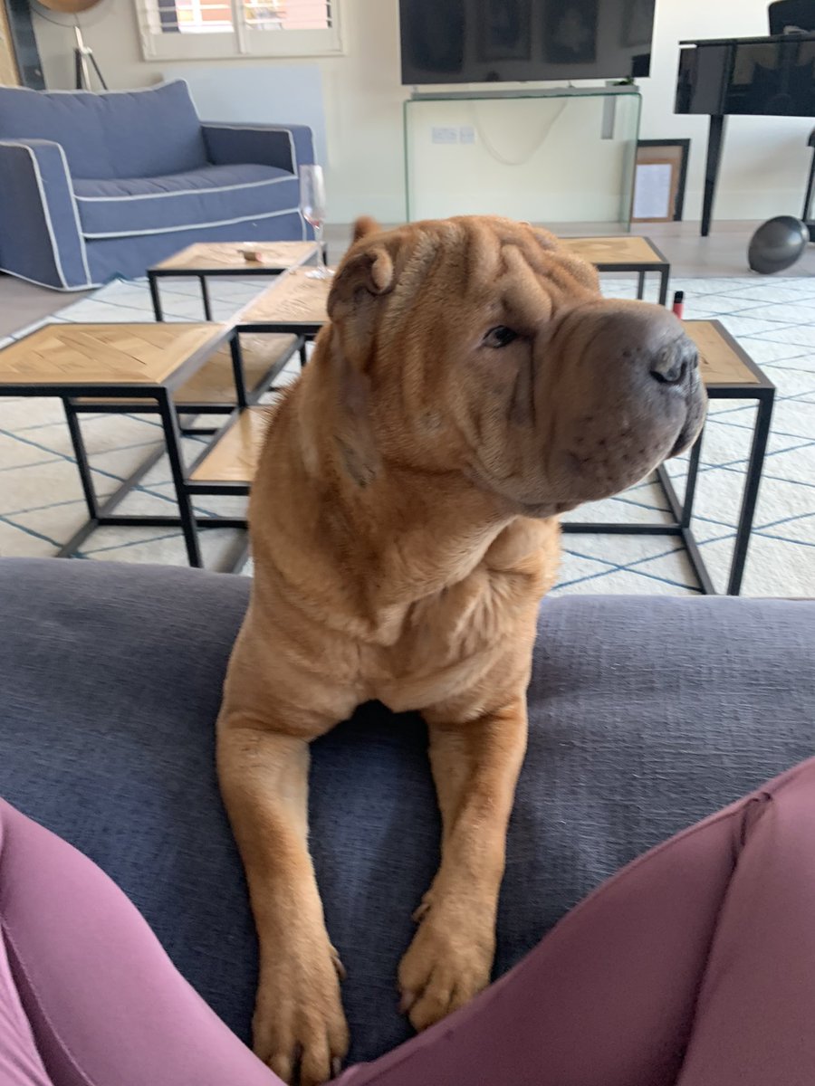 Magic Deifa 💕 Friday love 💕 
#happyfriday