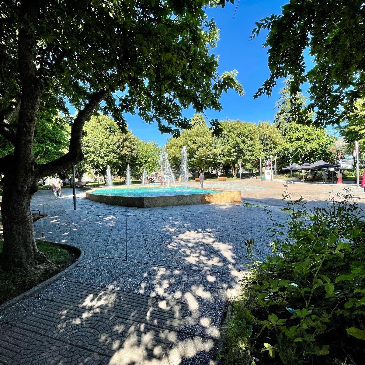 CanalSurPatagon's tweet image. 📸 #FotoPostal [10:40] viernes 16 diciembre #Primavera2022 Temp. del momento 14ºC ☀️ Plaza de #Coyhaique #RegionDeAysen #Patagonia #Chile #SurDeChile #CarrteteraAustral #PatagoniaChilena  #SurDelMundo #LugaresMagicos #CanalSurPatagonia canalsurpatagonia.cl .