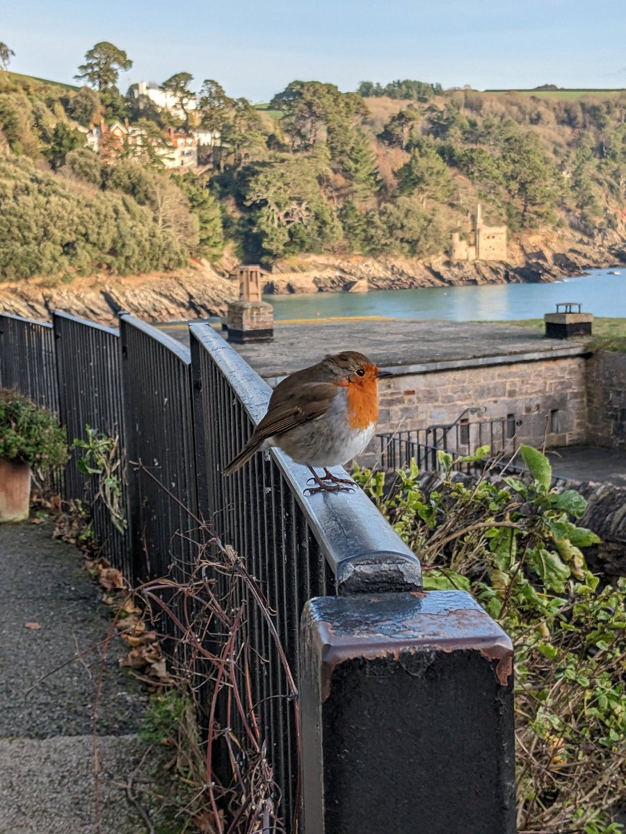 Owen Day tweet media