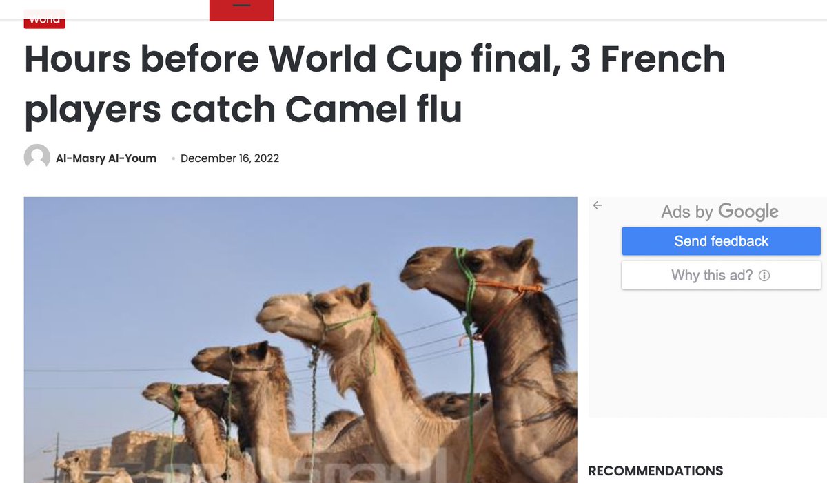 EstebanOrtizMD's tweet photo. Que sabemos del #CamelFlu o #GripeDelCamello que en el argot médico se lo conoce como #MERS ?
Para mí, Una amenaza global real y que hoy vuelve a la coyuntura debido a que al menos tres futbolista de Francia están enfermos con síntomas similares al #camelFlu #HiloFLASH 1/ https://t.co/gPZkZKK41Y