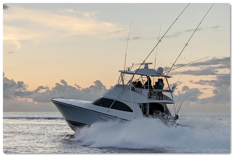 VikingYachts's tweet photo. Viking Yachts:  To The Top https://t.co/OoBiiNE47T #boating #sportfishing https://t.co/eQWtUDDhJp