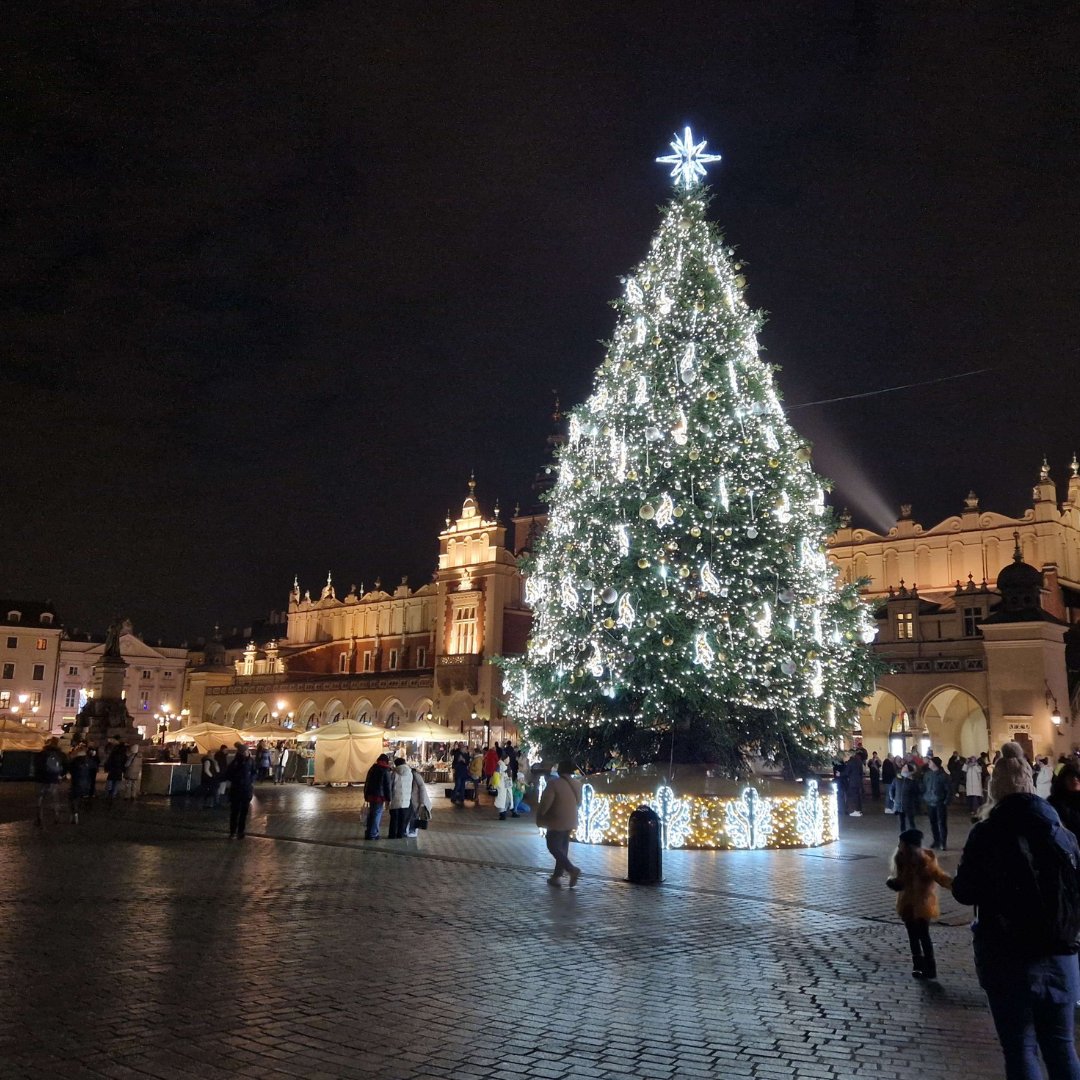 eebzLtd's tweet photo. 🎄The Christmas tree near our Poland HQ is so beautiful! 🎄😊 https://t.co/YgP4Ywupfd